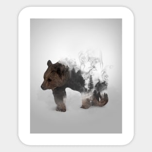 Bear Sticker